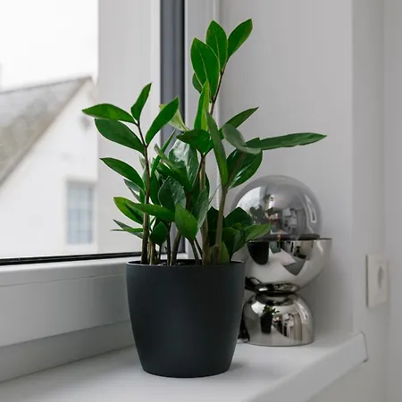 Апартаменты For One - White Таллин