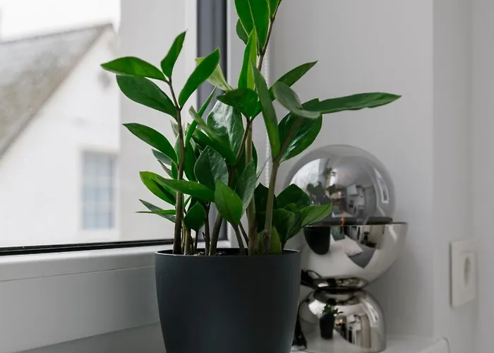 Apartment For One - White Tallinn